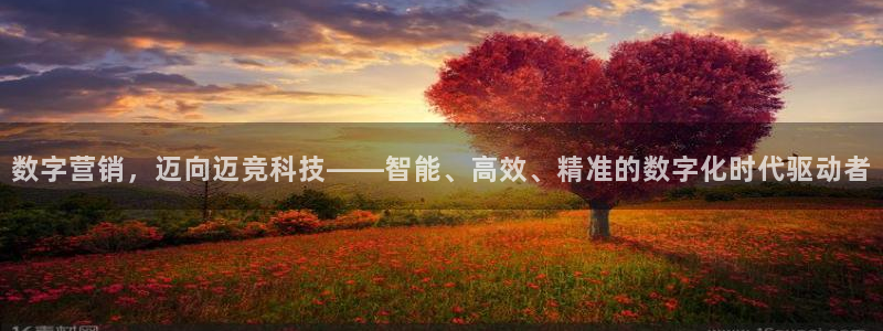 金年会下载哪个买球赛