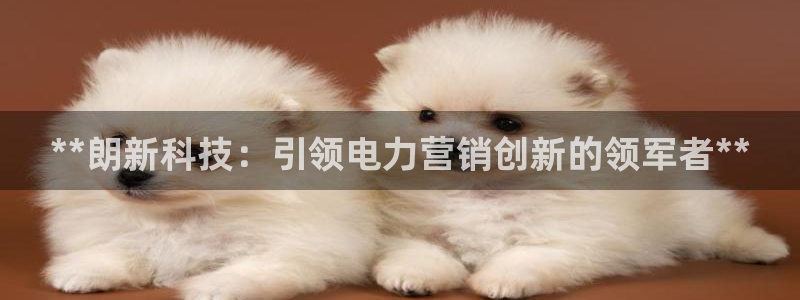 金年会网站怎么样