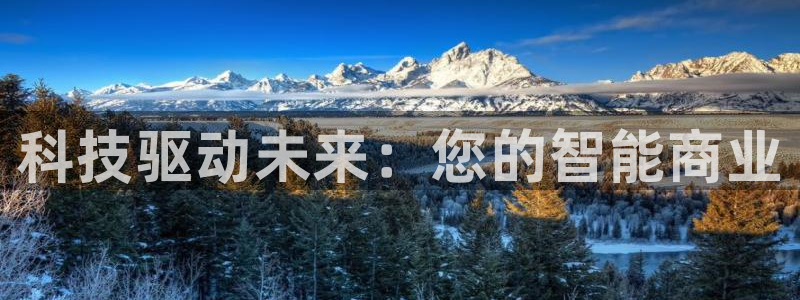 金年会体育综合App