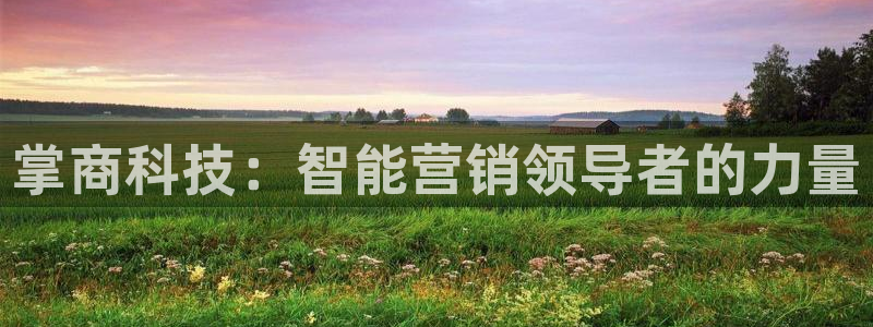 金年会体育官网是多少