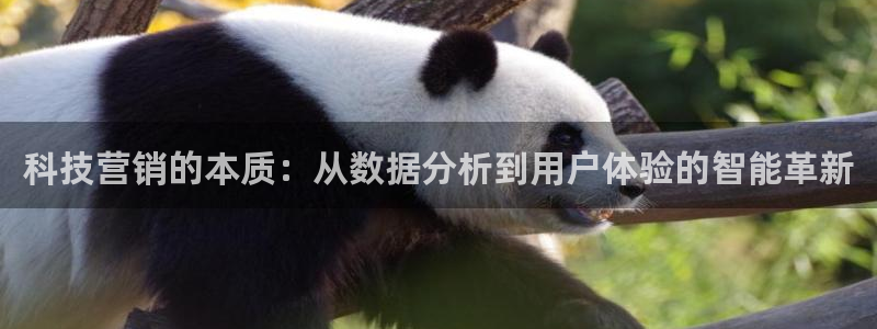 金年会app官网下载