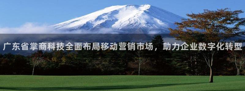 金年会ivp