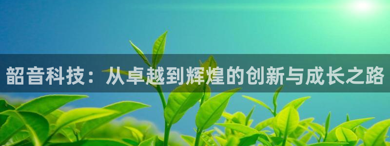 金年会官方平台官网