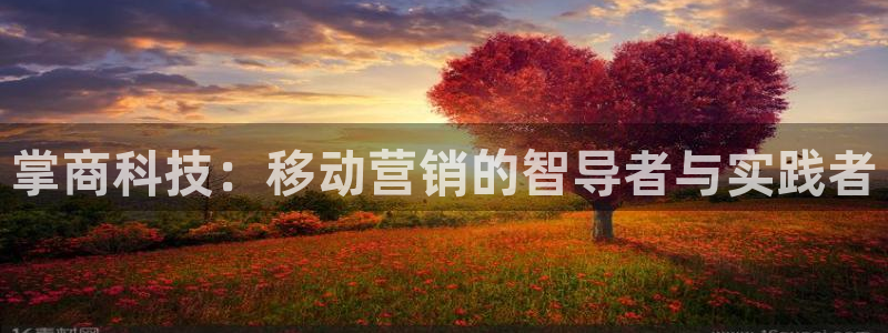 金年会体育app下载官网苹果手机