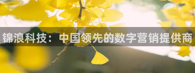 金年会网站拒绝出款怎